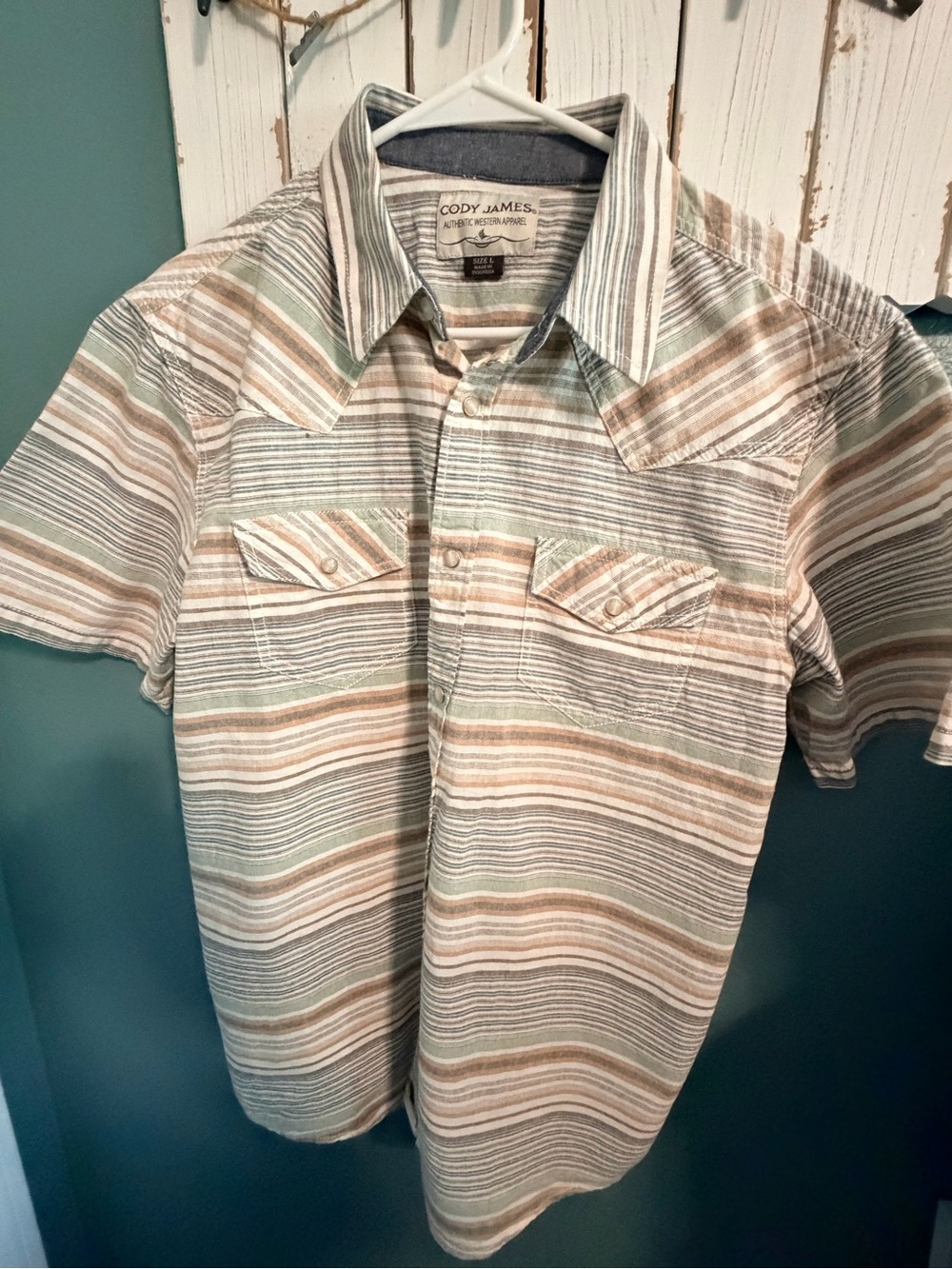 Short Sleeve Striped Button-Down Shirt - Sage Green & Tan